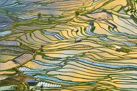 古人对万物的雅称，你知道几个？图片