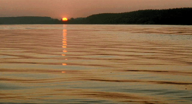 刚解封就冲上9.2！封闭管理20年，吃着狗罐头，搂着军官跳脱衣舞