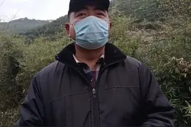疫情之下为什么越来越多的底层老百姓喜欢农民鲁智深图片