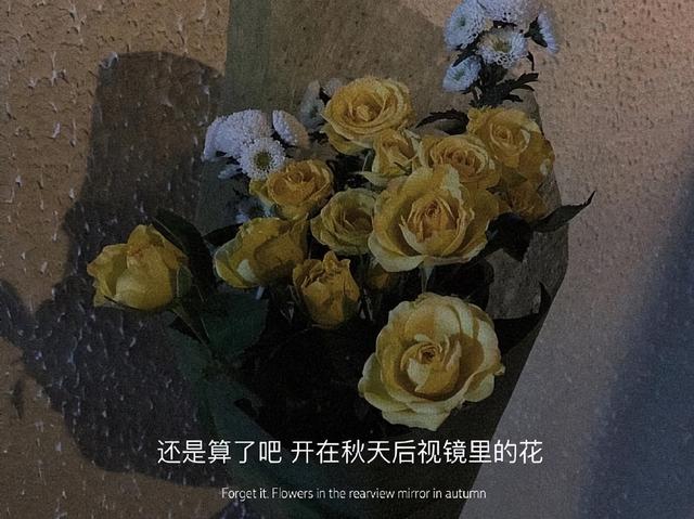 止于唇齿，掩于岁月