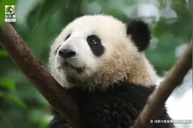 前方小记者 “强强”“国国” 为您发来报道！图片