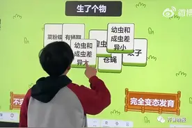 山东一老师火了！模仿“羊了个羊”制作“生了个物”图片
