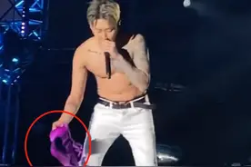 韩国歌手开演唱会脱上衣！女粉疯狂扔内衣，朴宰范捡起来挂在身上图片