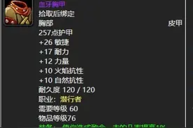 魔兽世界：60年代十大最知名的皮甲衣服，血牙和骨镰你更喜欢谁？图片