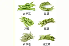 17种豆角你都吃过吗？图片