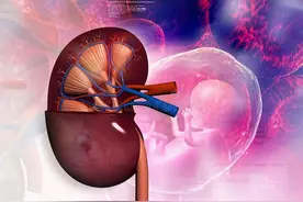 切除一个肾后，身体会发生哪些变化，看看有你知道的吗图片