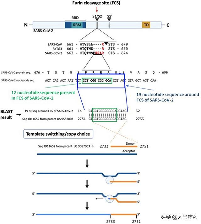 新冠基因片段与美国公司专利相符，概率3万亿分之1？看看来龙去脉