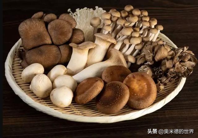 全世界最毒的十种蘑菇，中国最毒的蘑菇致命白毒伞上榜