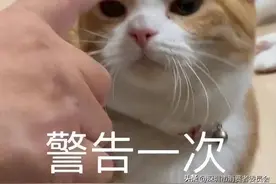 买延保成了冤大头？4个典型案例告诉你......图片