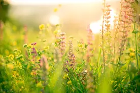 如果，你不喜欢去别人家串门，那么恭喜你图片