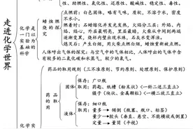 「化学」准初三暑假预习必备！单元思维导图，学习更高效图片
