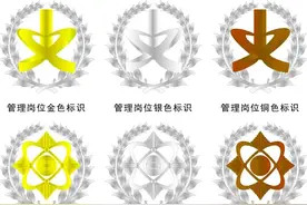 军队文职是什么？我带你认识一下文职的标识吧图片