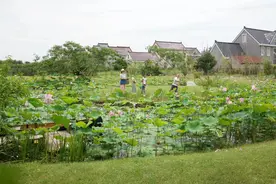 上海一家四口造12000m²乡野之家：没有空调，人与自然共生图片