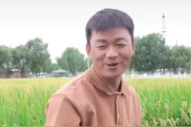 40岁王宝强下地干农活，皮肤黝黑手法娴熟，戴手套割稻谷惨遭调侃图片
