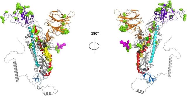 鍦ㄨ繖鏂归潰锛孉I鐨勬晥鐜囨槸鐢熺墿瀛﹀鐨勪笂涓囧€? onerror=
