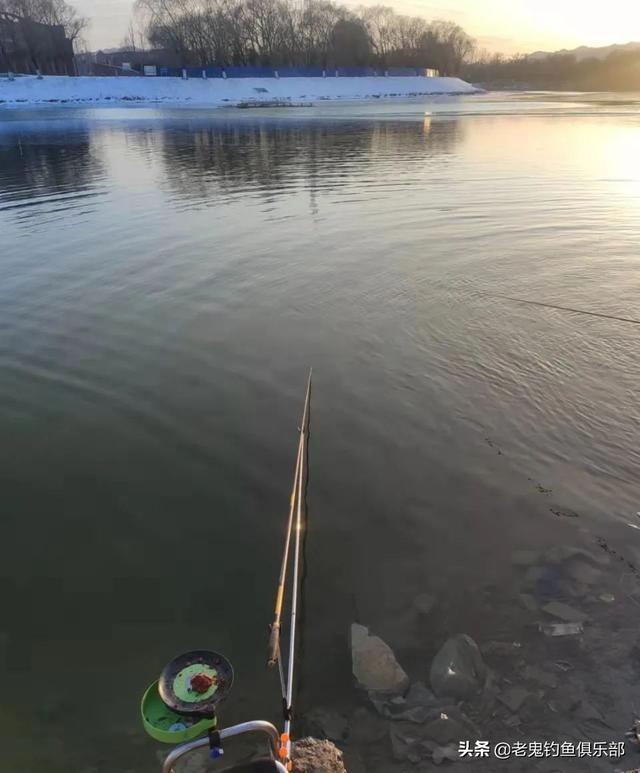 北京上庄水库擒大鲤！过足瘾