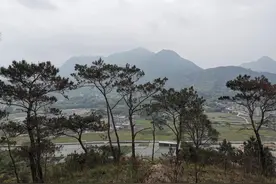 大山里的爱情（一）图片