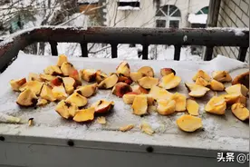 大雪后小鸟觅食困难，热心市民自制“喂鸟器”撒粮帮鸟儿过冬图片