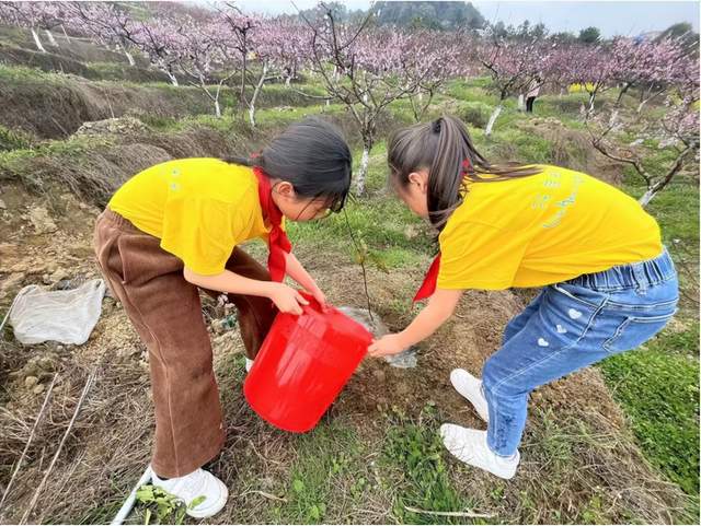 四川省民生研究会新媒体中心-官网
