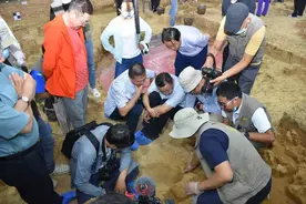 十堰学堂梁子遗址入选全国十大考古新发现图片