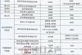 武汉经开区多所学校的学费曝光图片
