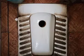 “屎记”厕所列传，你一生拉的6吨屎是怎么处理的？看完涨知识图片