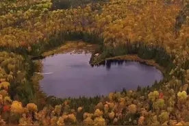 明天就是520了 也是今年最有爱的一天 选一句文案送给你最爱的人吧图片
