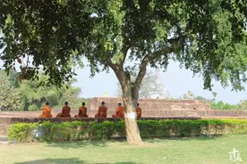 厉害了！两千年前佛陀的教育思想居然这么先进，如今仍受益无穷图片