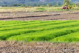 2022年监利这些地方被批准拆迁：涉及朱河、红城乡、白螺等乡镇图片