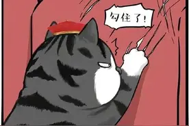 猫主子和铲屎官的日常，太可爱了（漫画 ）图片
