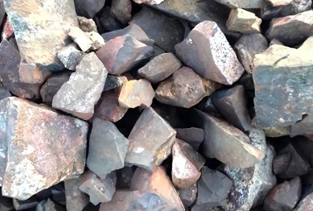 山西矿老板改行进荒山种奇树，被骂“有病”，结果3年赚5000万