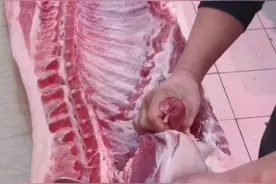 经典的剔骨教学，非常实用。#剔骨 #美食 #抖音小助手 #猪肉 #真材实料才能做出好味道# 永辉虎年不马虎