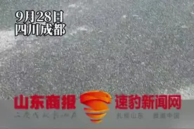 萌娃躺地上哭闹妈妈淡定玩手机图片