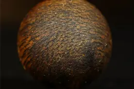 奇楠与沉香到底有啥区别？揭秘奇楠最常见的4个疑问图片