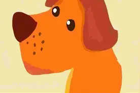 So Easy! Application for a Dog Keeping License for Foreigners图片