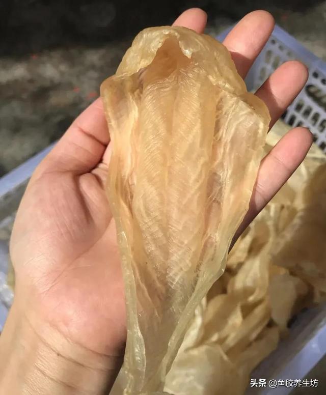 人工合成花胶 人工合成花胶可以吃吗