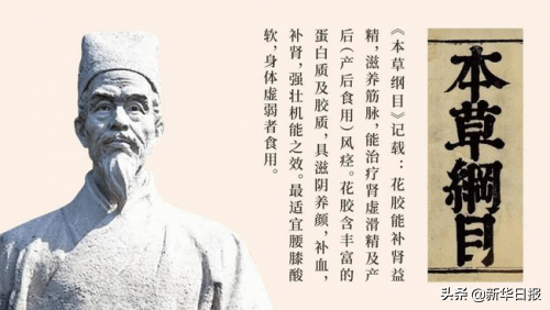 新华花胶 2026年新花胶和老花胶的功效区别