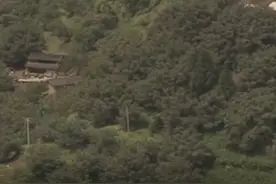 云南农民发现巨型蟾王，头顶尖刺眼冒绿光，引千万蟾蜍前来朝拜？图片