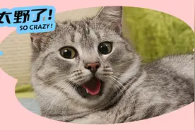 人们幻想发生性行为的top10地点是——图片