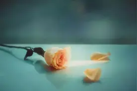 有一种人，常常打开朋友圈，却不留痕迹图片