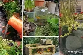 小院、花园的最美水池图片