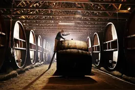 品酒师三个等级是怎么考试的图片