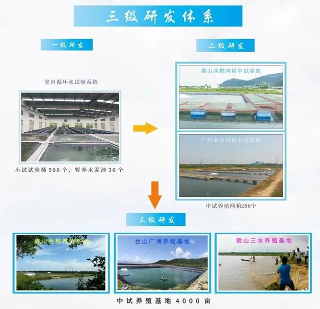 帮农户降低超50%养殖成本！杰大饲料在全国首先实现鳜鱼全程投料丨南海农业龙头企业④