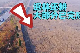 从退耕还林到退林还耕，从禁止超生到鼓励多生，到底是谁错了？图片