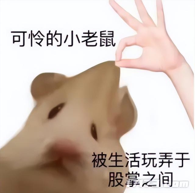 太癫了！千万玩家集体「指猫为鼠」，还成了腾讯王牌游戏的新宠儿