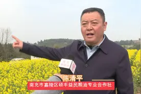每天1000套锅盔凉粉免费送！南充嘉陵龙蟠第二届油菜花节来了！图片