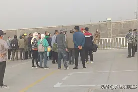我真怀疑这样的老板怎么会找到工人跟她去干活呢图片