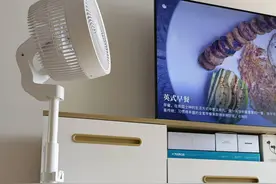 奔着“新概念”入手的这款空气循环扇，没成想，实用性超出了预期图片