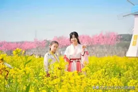 紫薇都市田园第六届花朝海棠文化艺术节开幕，活动精彩纷呈图片