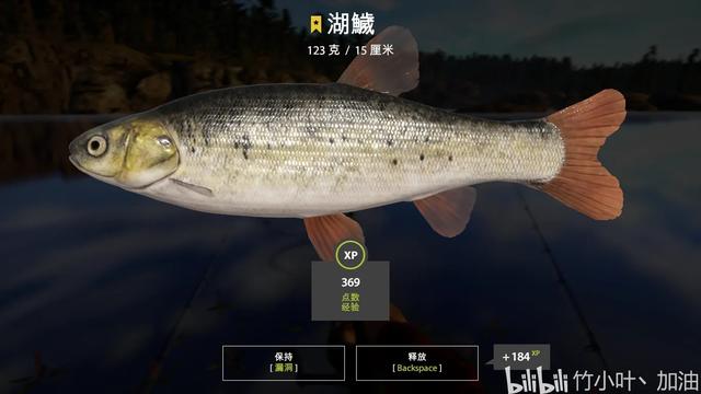 榛戦緳姹熼奔绫讳箣鈥滀笁鍗佷簩鏉傞奔鈥濆浘璋? onerror=